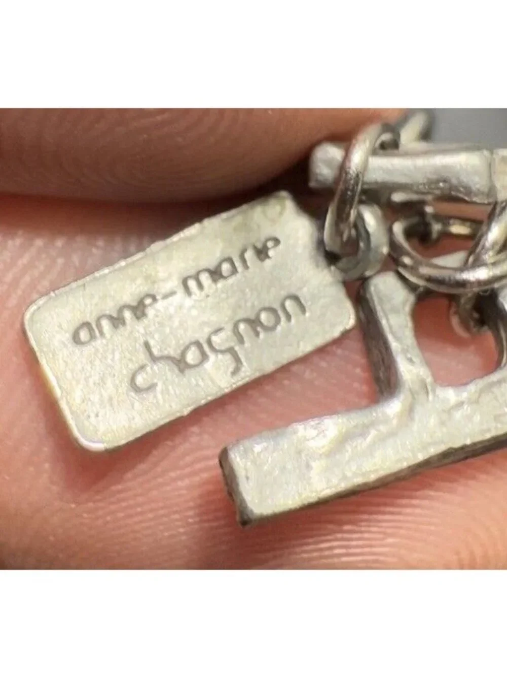 Anne-Marie Chagnon this anne